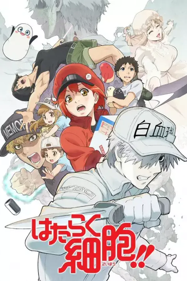 Hataraku Saibou!!